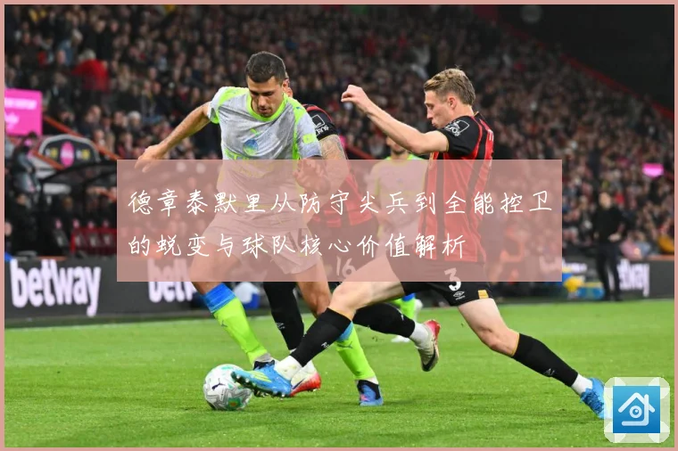 德章泰默里从防守尖兵到全能控卫的蜕变与球队核心价值解析